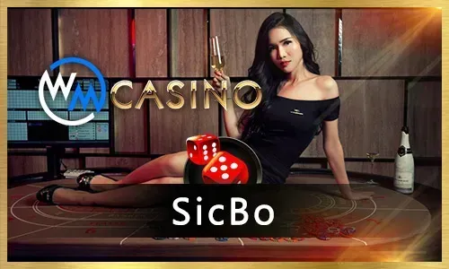BMW55 Casino Games